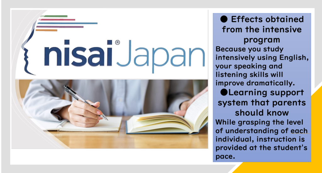 What is Nisai’s Online Study Abroad Program?