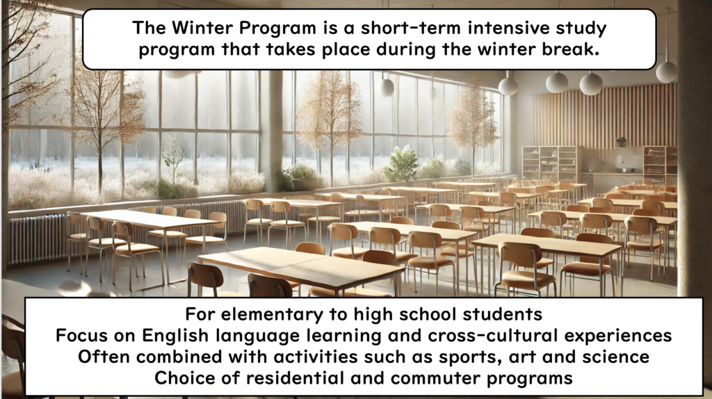 What is a Winter Program?